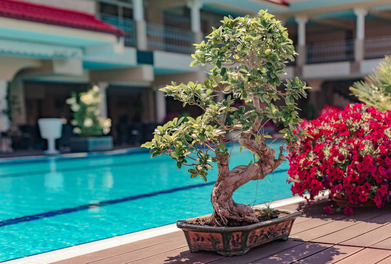 Vox Maris Grand Resort (Adults Only) Costinesti Bagian luar foto