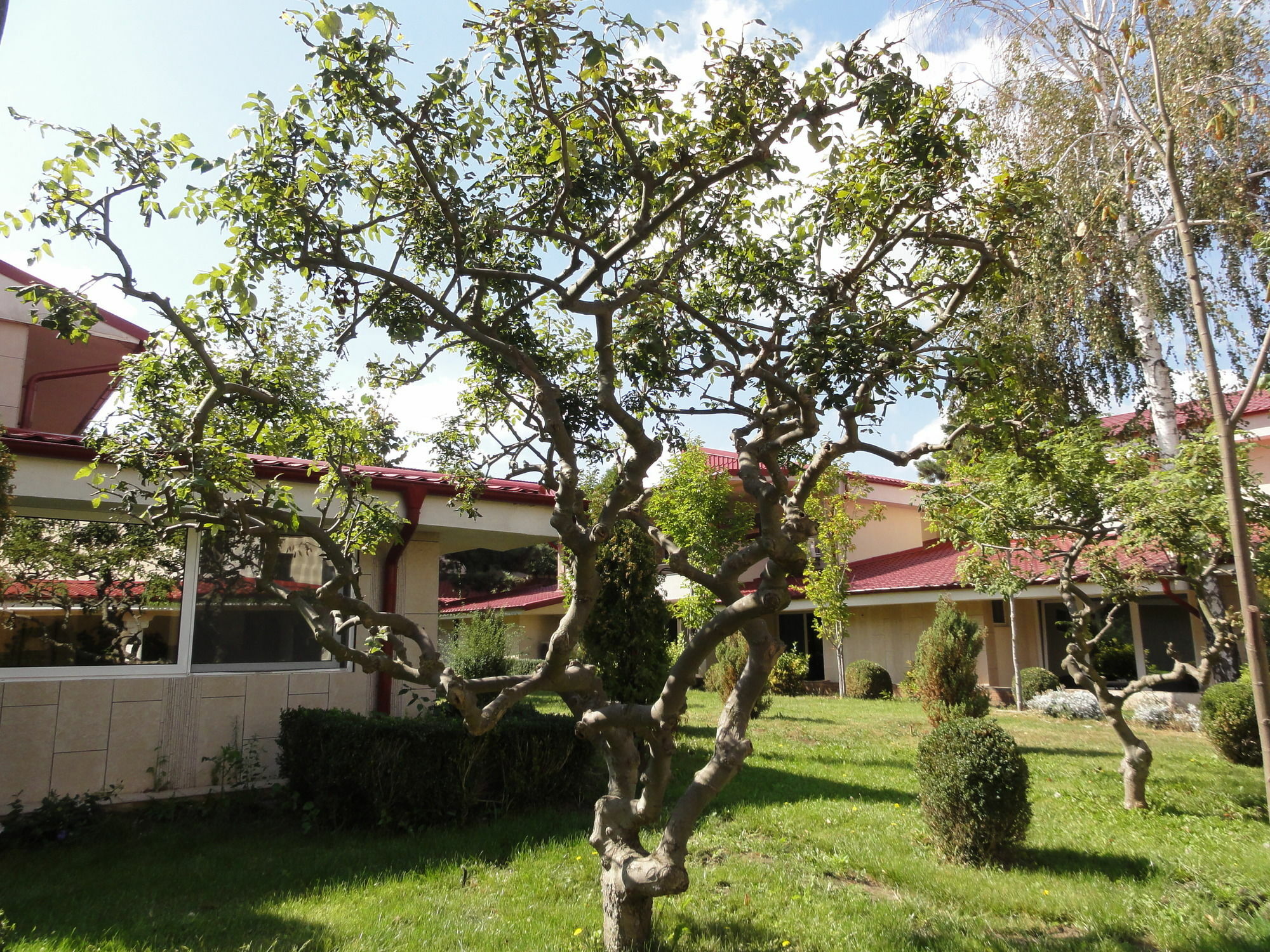 Vox Maris Grand Resort (Adults Only) Costinesti Bagian luar foto